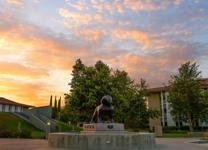 Bulldog statue standing during a sunset.